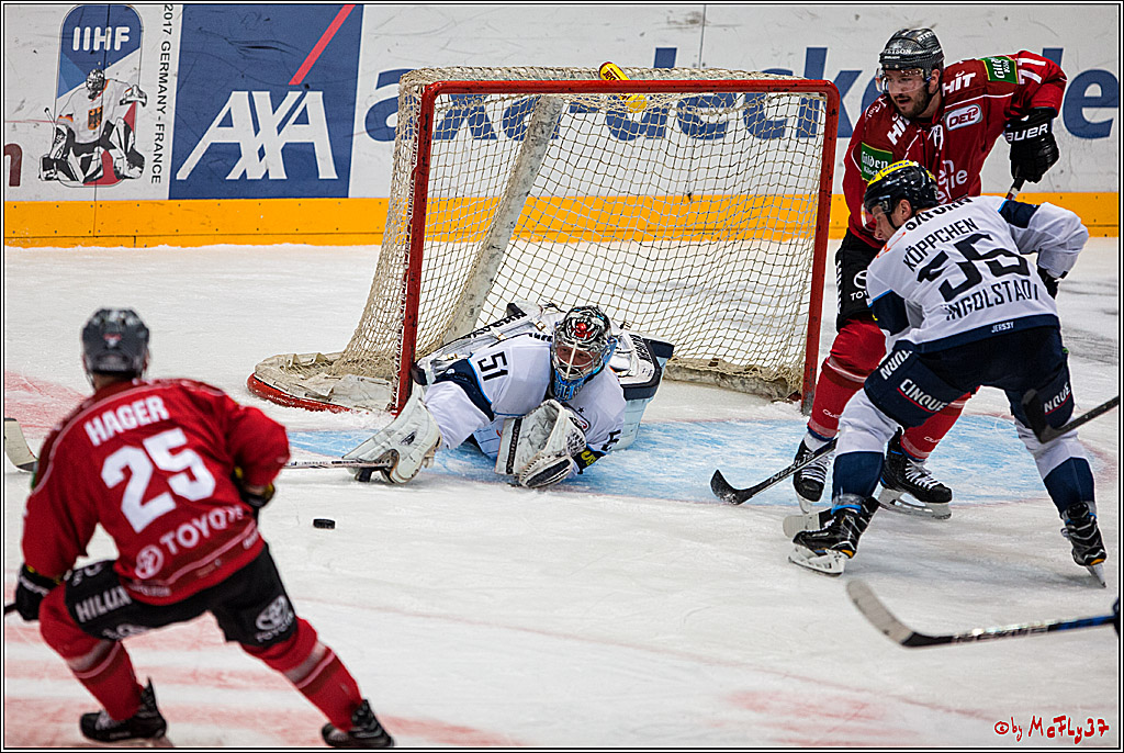 DEL, Koelner Haie - ERC Ingolstadt, 20.01.2017